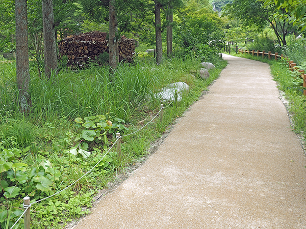 園路