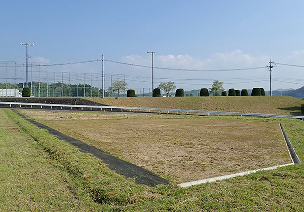 草地・裸地ビオトープ試験区