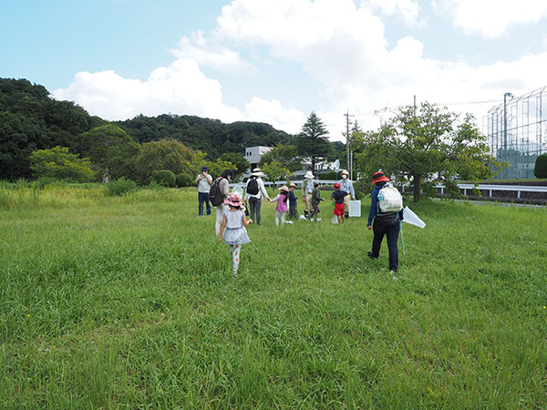 観察会のようす