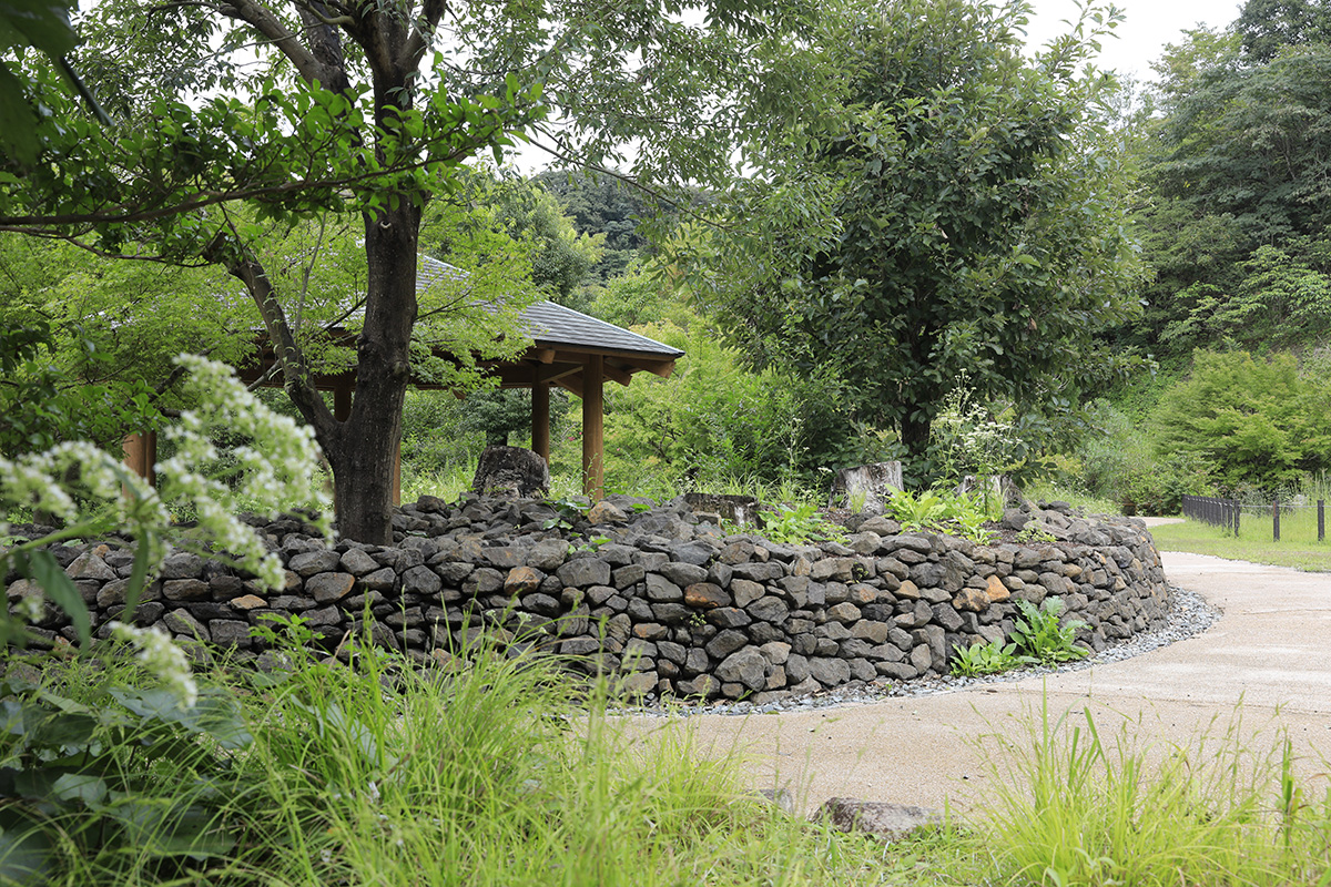 草地・裸地ビオトープ試験区