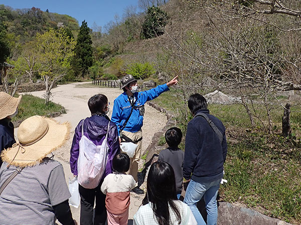 観察会のようす