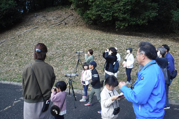 観察会のようす