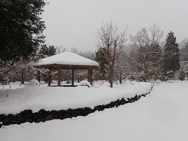 雪景色