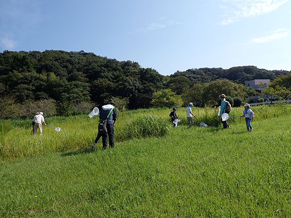 観察会のようす