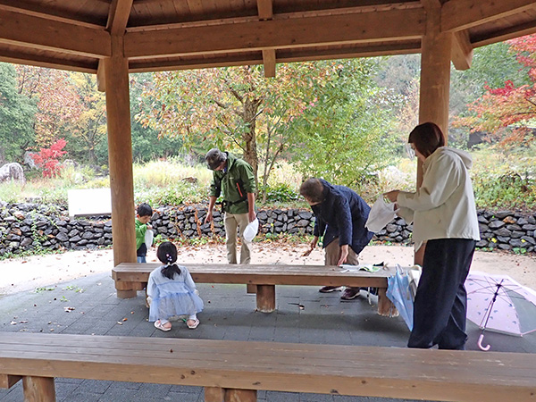 観察会のようす